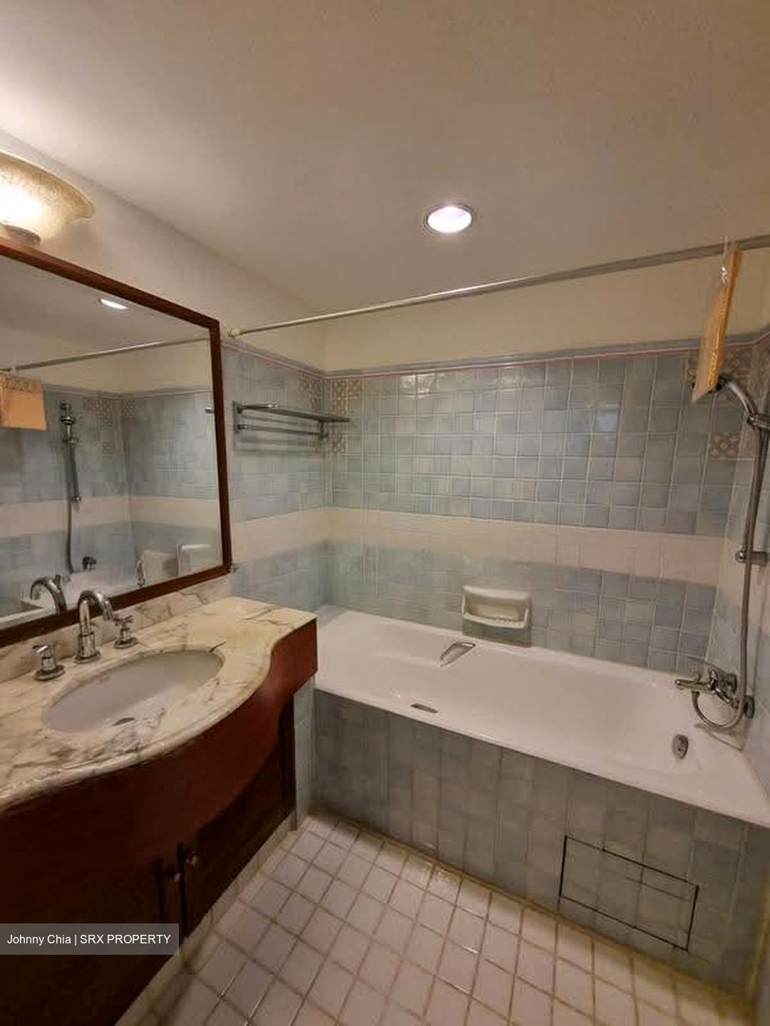 Cavenagh Lodge (D9), Apartment #620373431